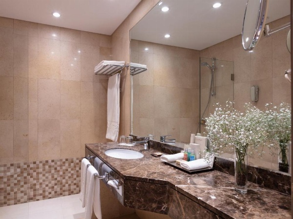 Gefinor Rotana  Beirut image 30